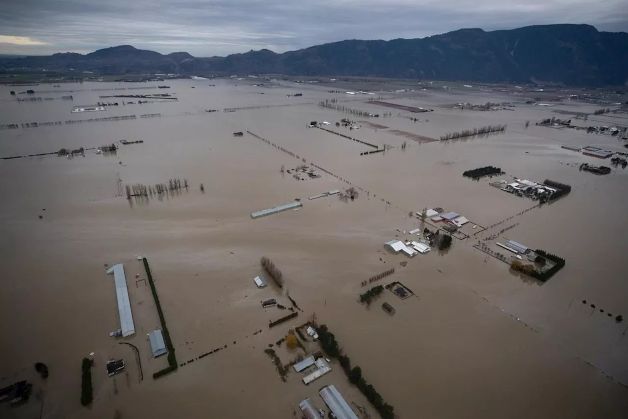 Federal disaster aid for Fraser Valley floods, landslides taking too long: B.C. MP