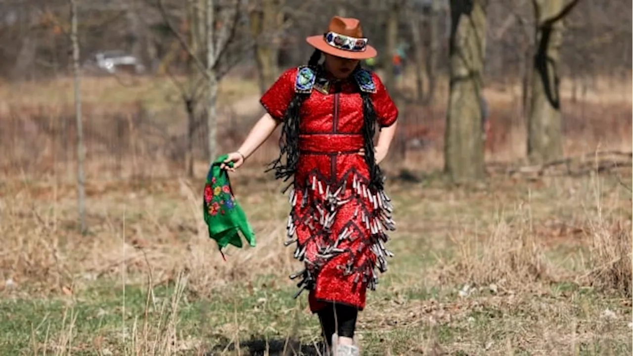 High Park to carry out traditional, prescribed burns in March