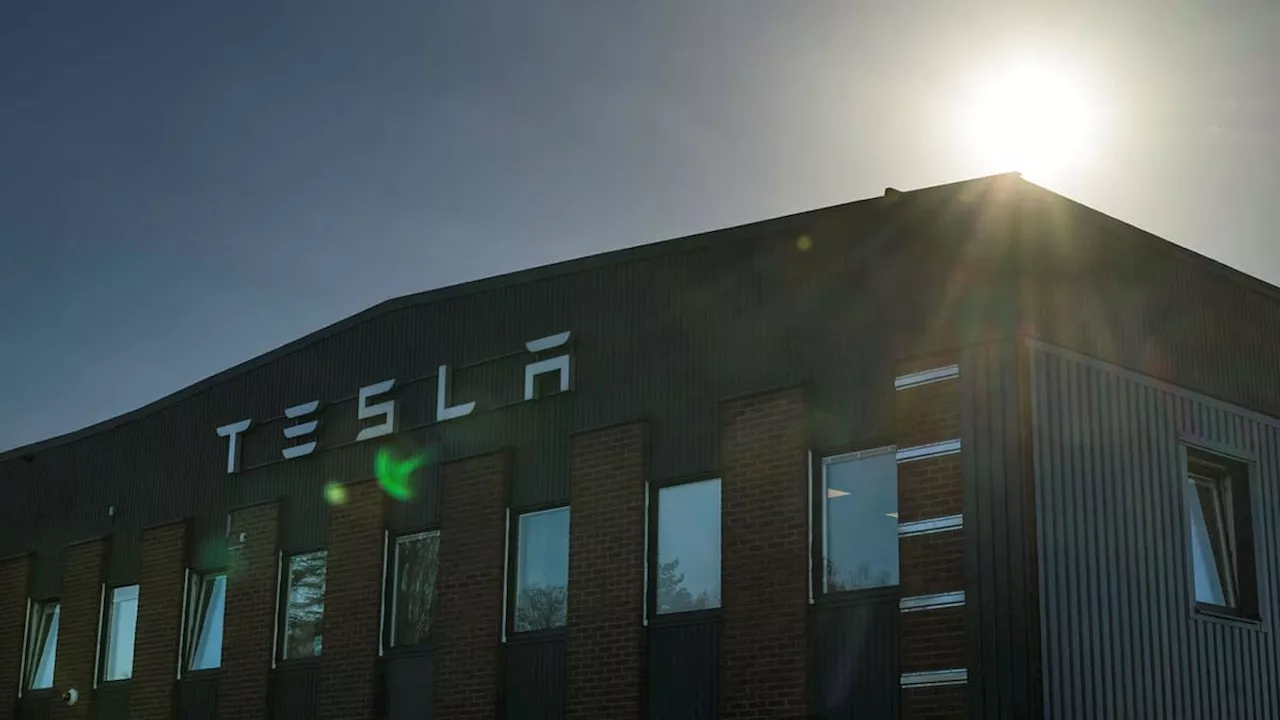 Teslastrejken splittrar Svenskt Näringslivs