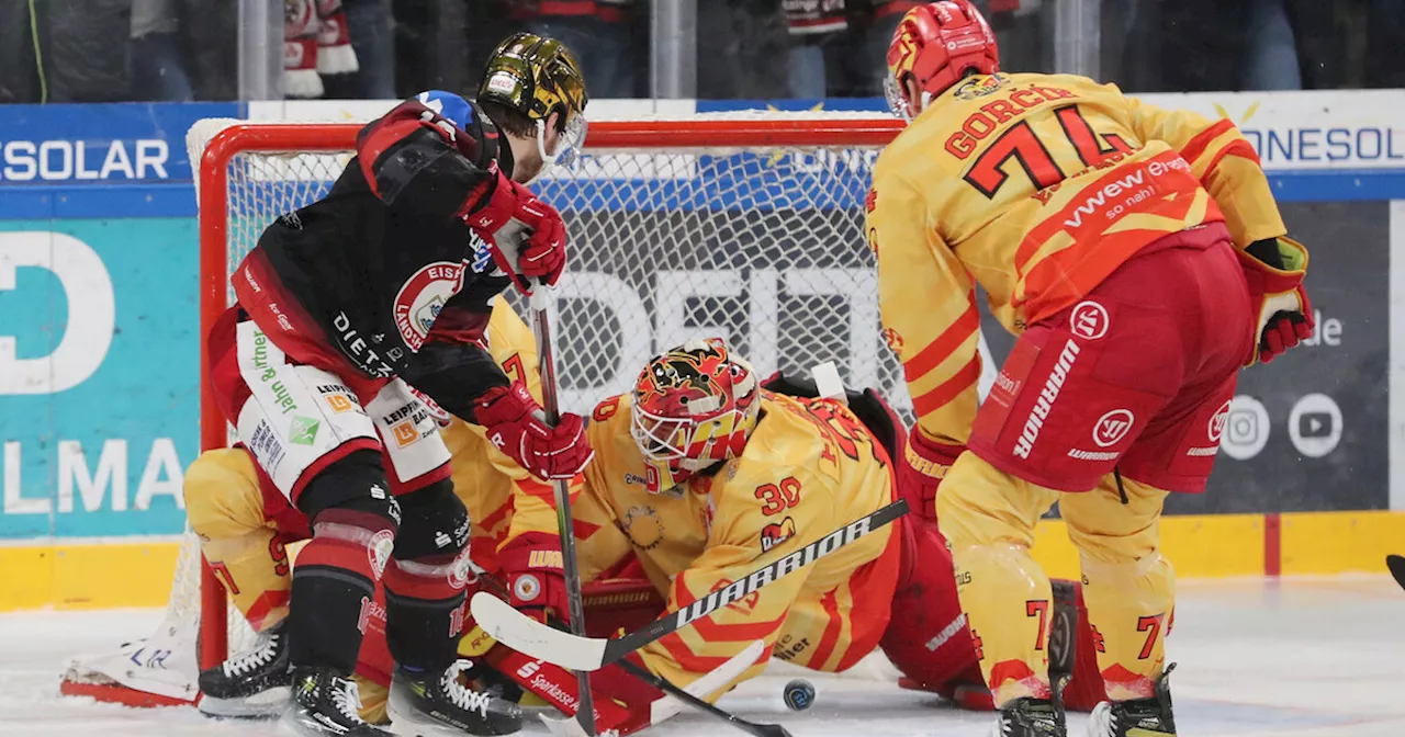 EV Landshut brennt auf den Playoff-Auftakt gegen Kaufbeuren