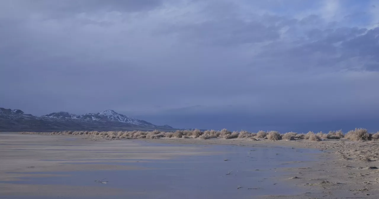 Farmers accused of drying up the imperiled Great Salt Lake say they can help save it