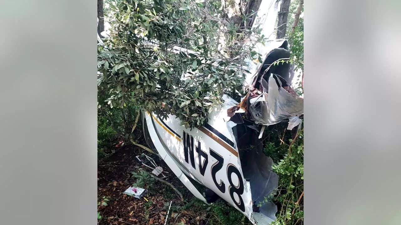 3 Santa Rosa residents survive plane crash