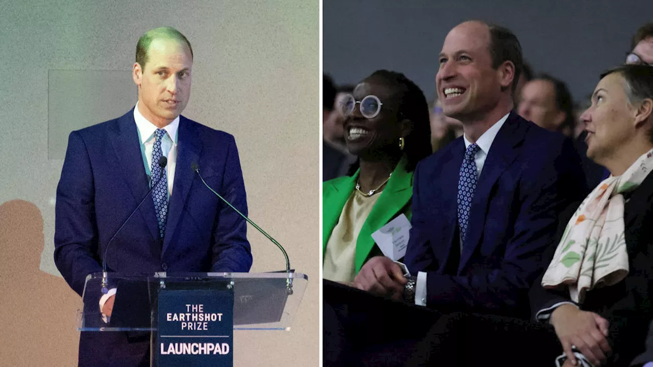 Prince William makes solo appearance at climate event hours after Kate apologised amid 'Photoshop' row