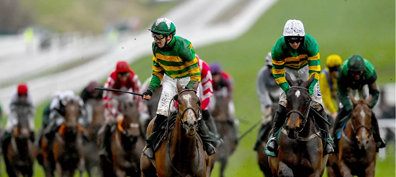 Cheltenham Horse Racing Festival: Bookmakers Expecting Millions of Bets