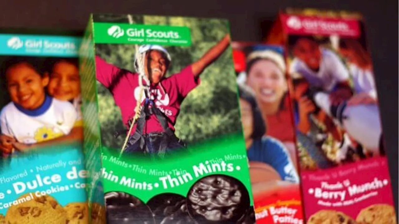 Ranking Girl Scout Cookies from Worst to Best