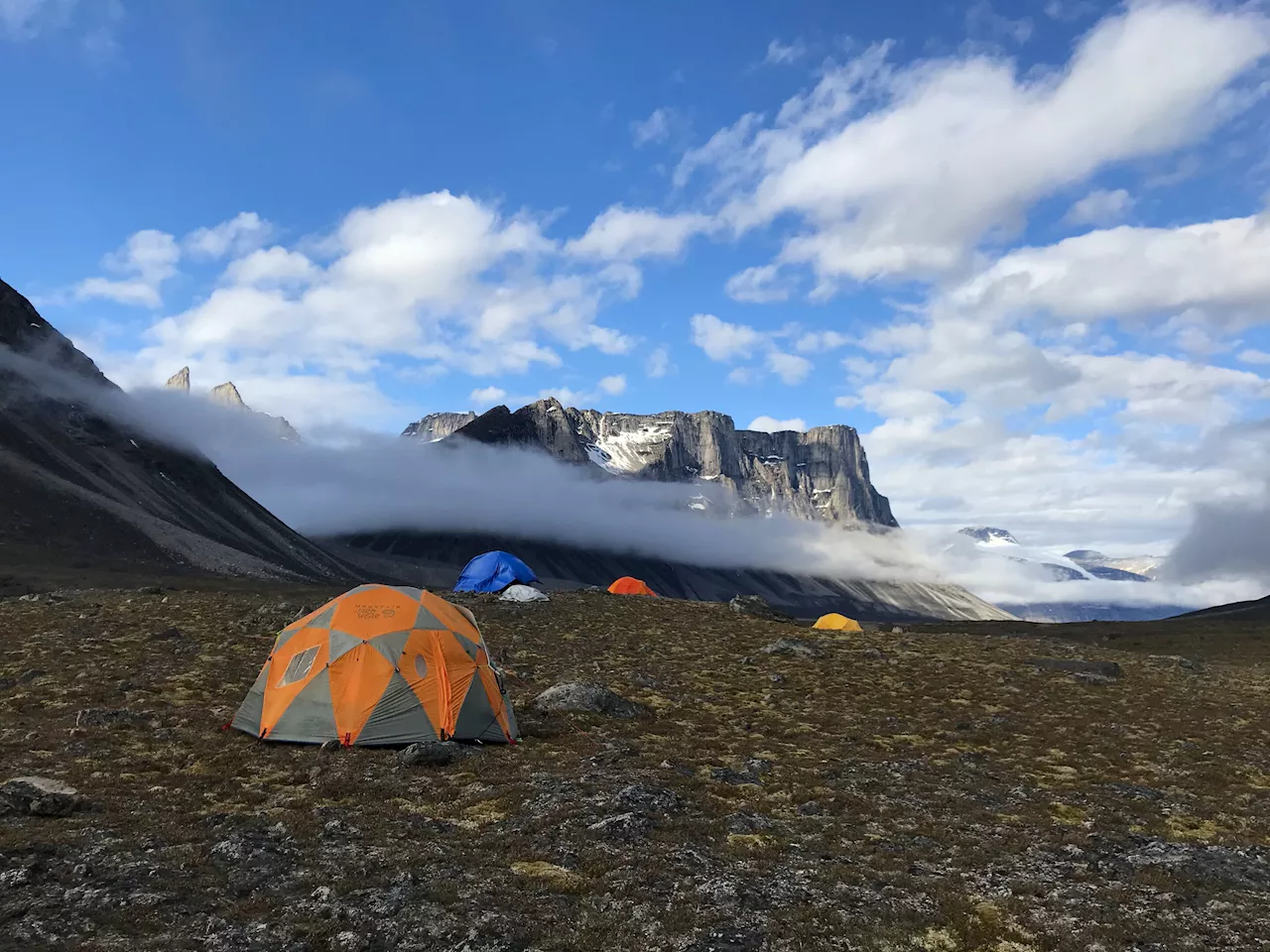 Exploring Arctic plants and lichens: An important conservation baseline for Nunavut's largest territorial park