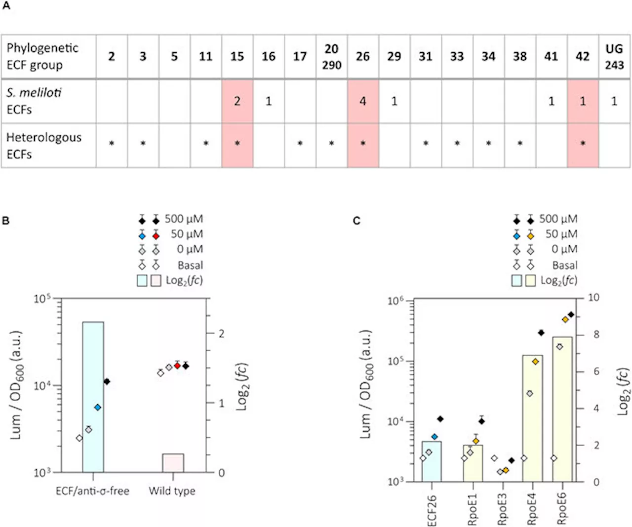 Exploring the transferability of extracytoplasmic function switches across bacterial species