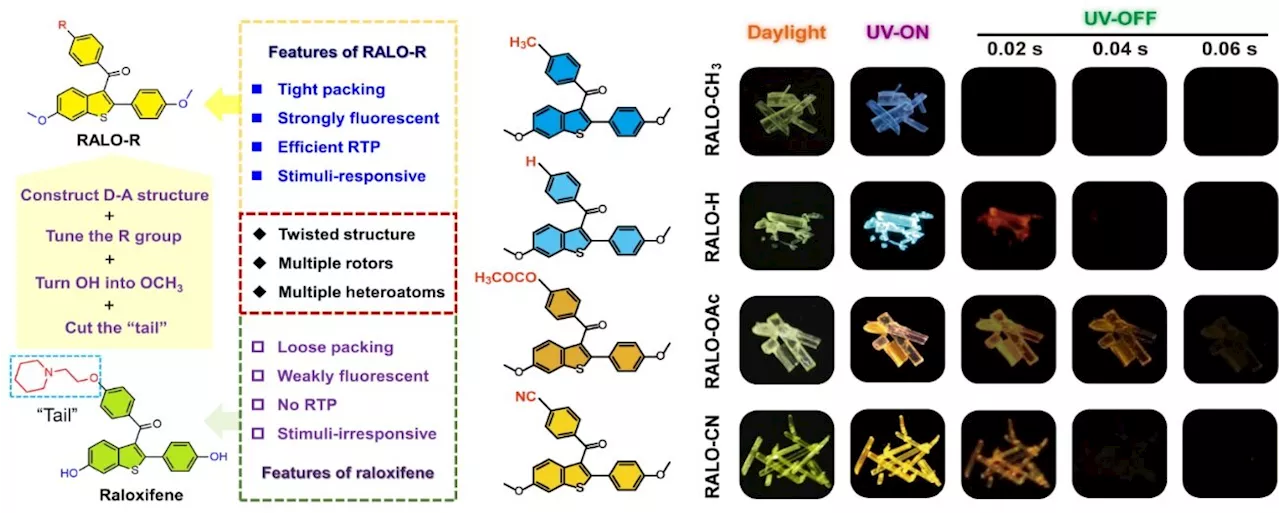 Tailoring Raloxifene into Single-Component Molecular Crystals for Multilevel Stimuli-Responsive Phosphorescence