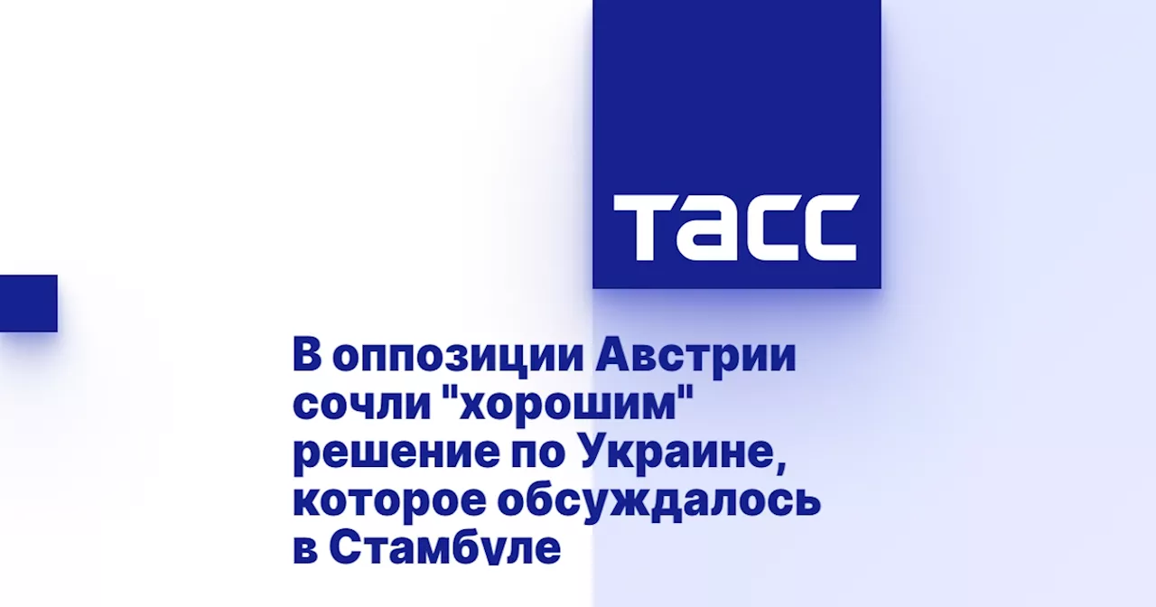 В оппозиции Австрии сочли 'хорошим' решение по Украине, которое обсуждалось в Стамбуле