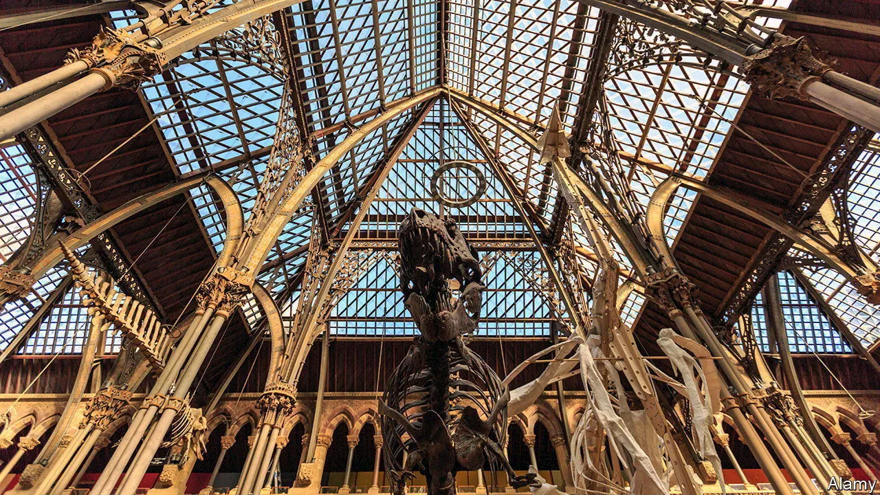 Troublesome Roof on Oxford University Museum of Natural History