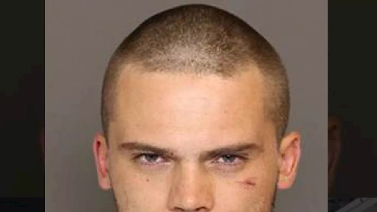 'Star Wars' Anakin Skywalker Star Jake Lloyd -- Arrested After Crazy Car Chase