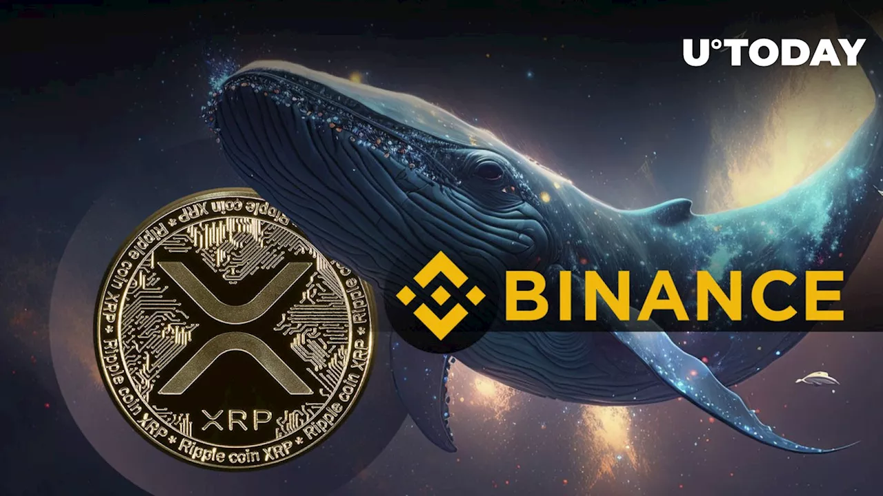 Mysterious XRP Whale Who Keeps Withdrawing Millions From Binance Revealed