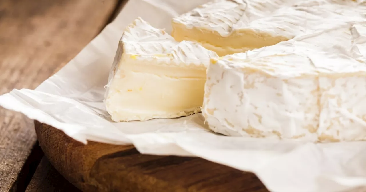 Say bye to brie: Some of your favorite cheeses may soon be extinct