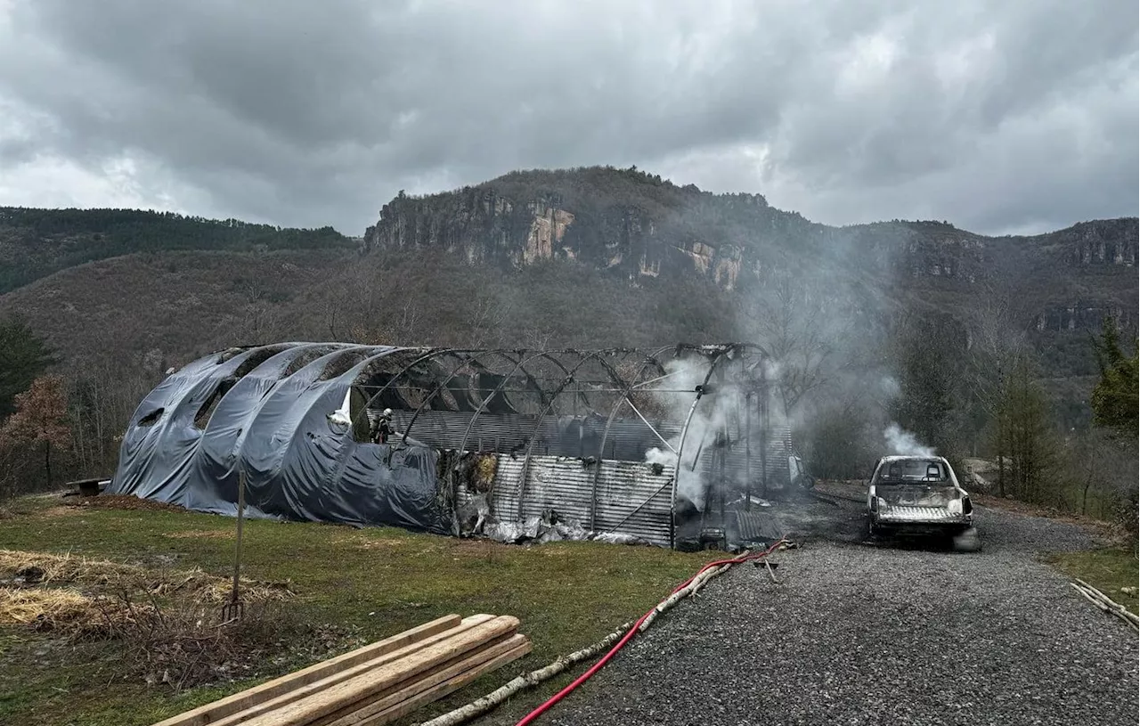 Gard : Une bergère grièvement blessée et 18 chevreaux morts dans une ferme en feu