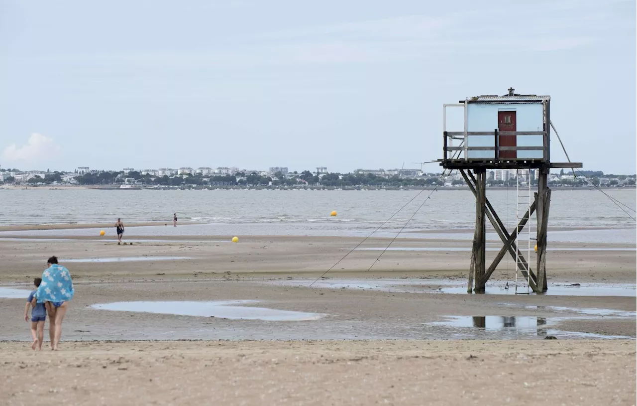 Loire-Atlantique : Avec l’érosion, cette décharge sauvage refait surface et menace la Loire