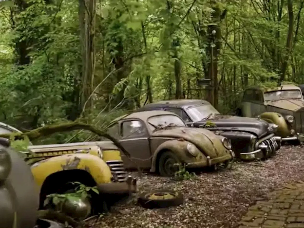 German Car Cemetery: A Metaphor for Life