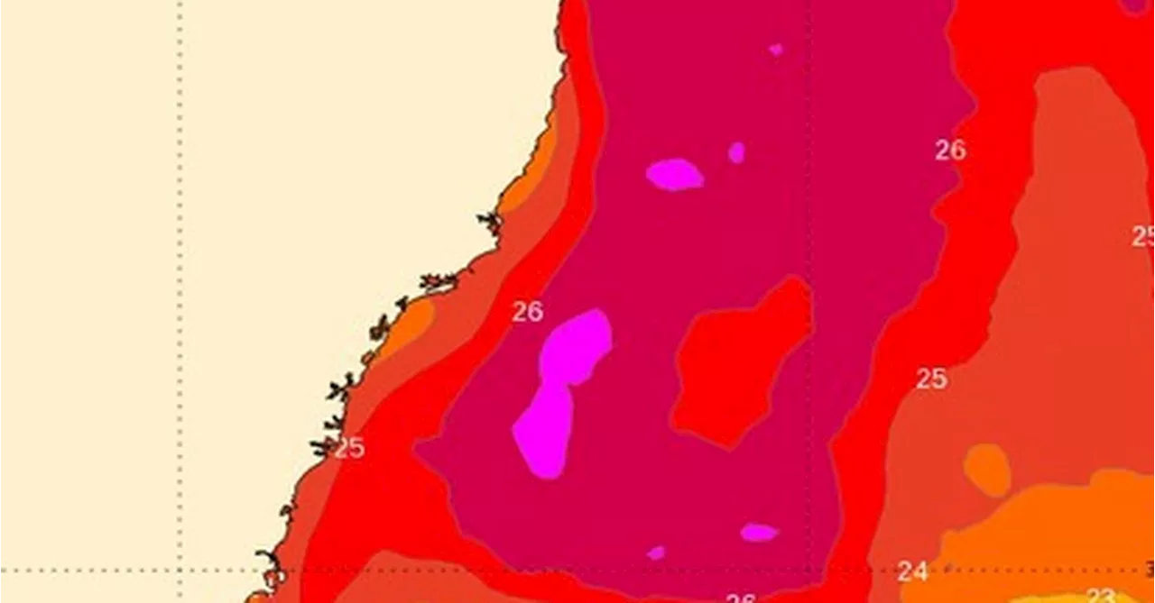 Record-breaking Ocean Temperatures off Sydney Coast