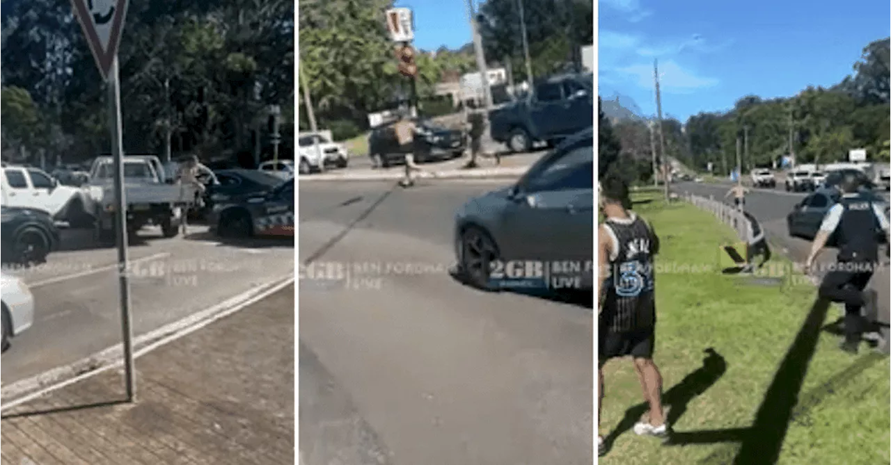 Dramatic footage captures police chase after man allegedly assaulted officers and threatened homeowners