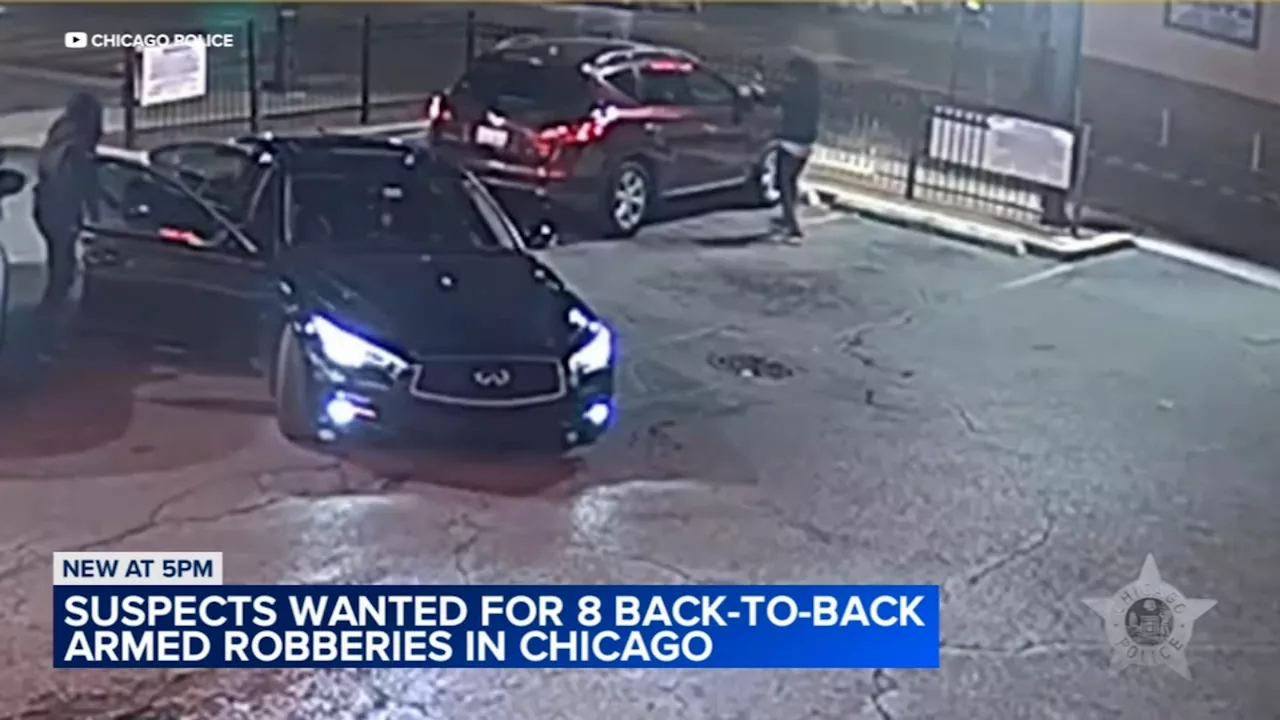 Surveillance video captures group responsible for 8 armed robberies in 1 day: Chicago police