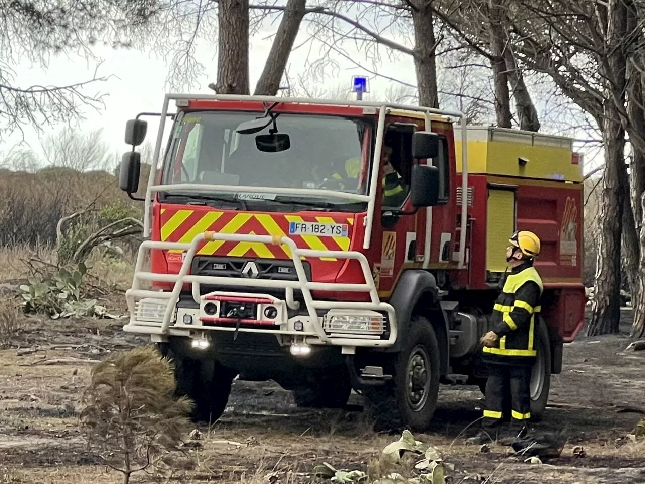 Important départ de feu dans les Pyrénées-Orientales, touchées par la sécheresse