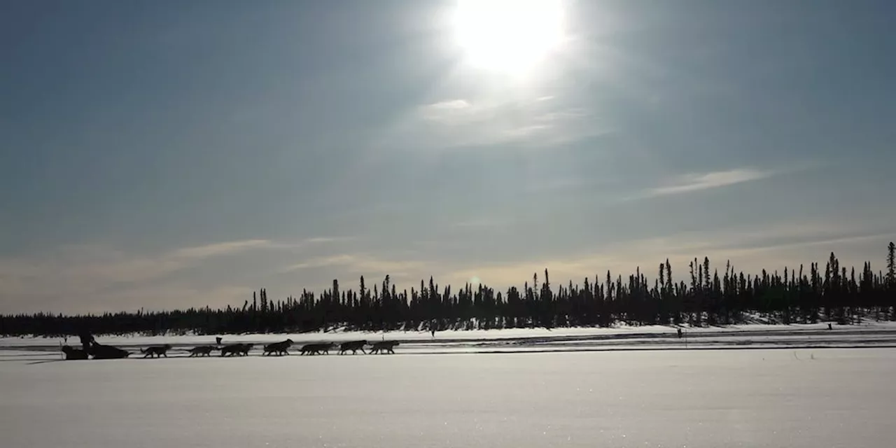 Snowmachine Rider Collides with Iditarod Team