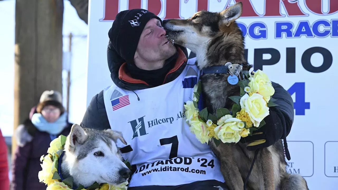 Iditarod 2024 Dog deaths overshadow Dallas Seavey's record win in