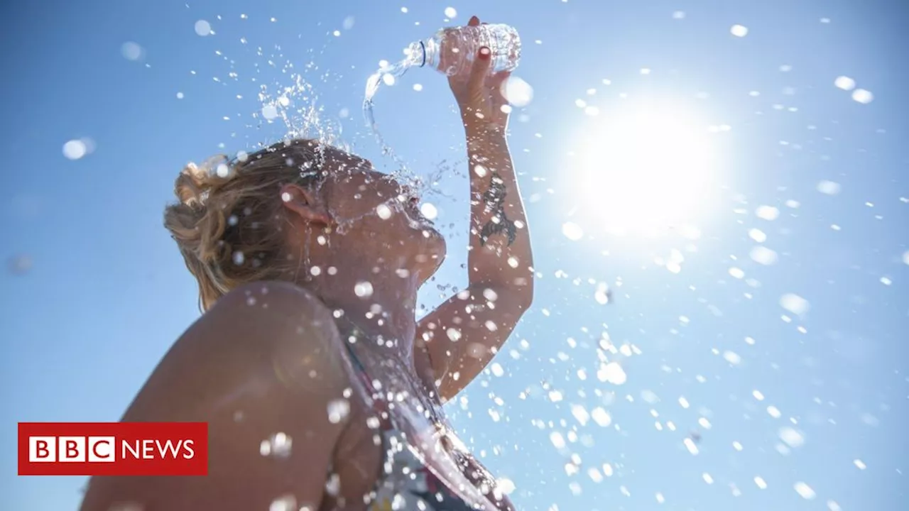 Onda de calor: o que acontece com o corpo sob temperaturas extremas
