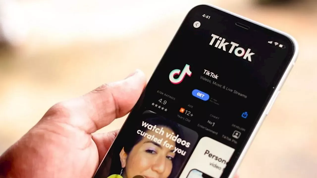 How a US TikTok ban could impact activism