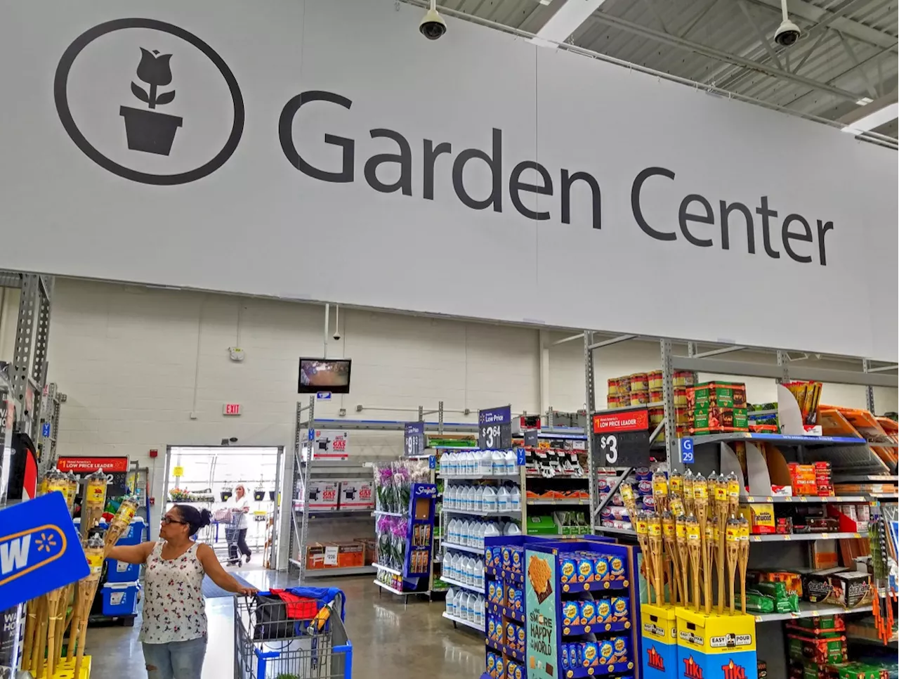 6 Best Things to Buy From Walmart's Garden Center