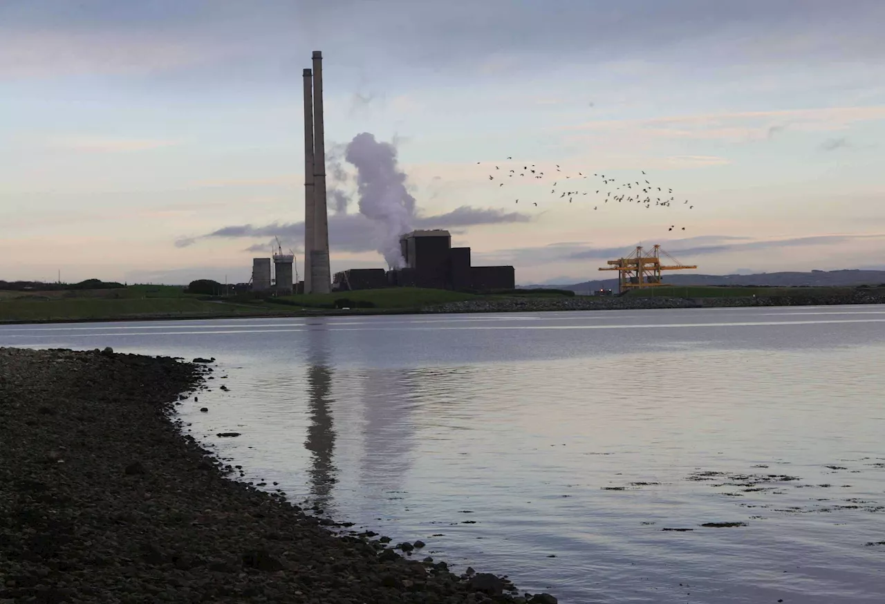 ESB ‘determined’ to stop burning coal at Moneypoint next year - chief executive Paddy Hayes