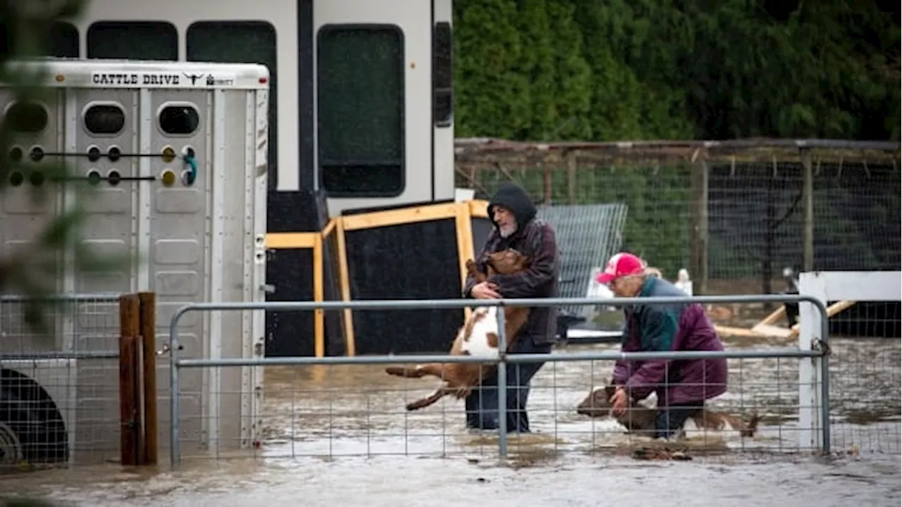 Federal disaster aid for 2021 B.C. floods taking too long: MP