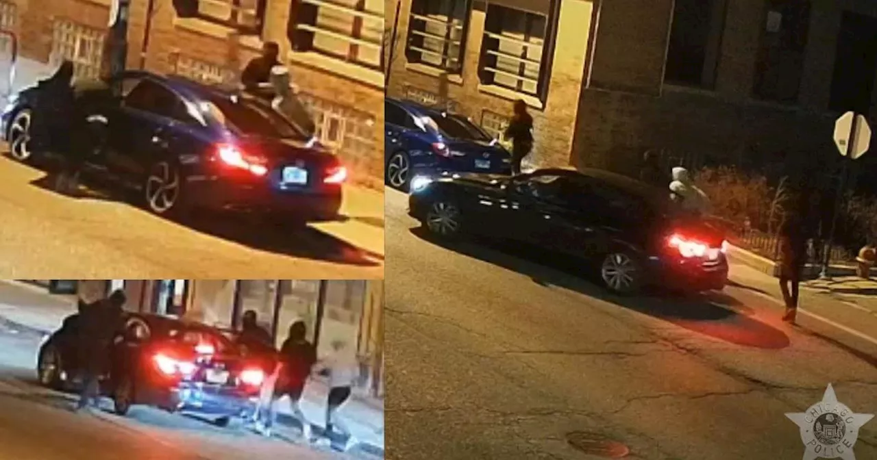 Chicago police seeking armed group in Northwest Side robberies