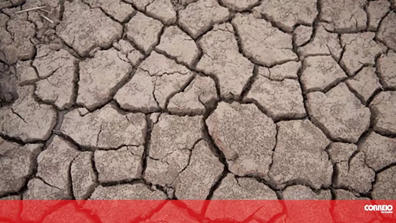 Comissão Europeia quer melhorar respostas a crises climáticas como a seca