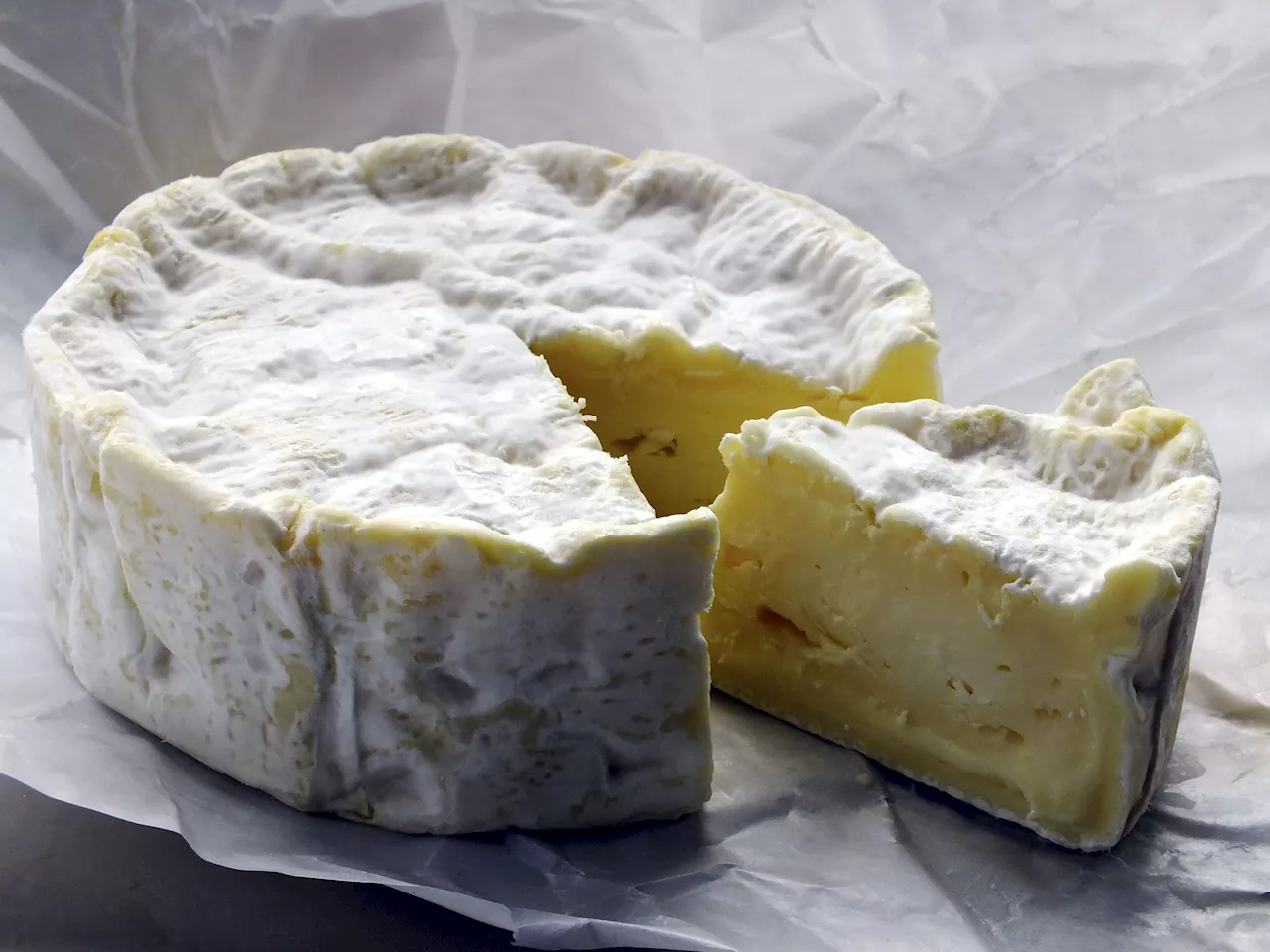 Camembert: o queijo favorito da França enfrenta uma crise de “extinção”