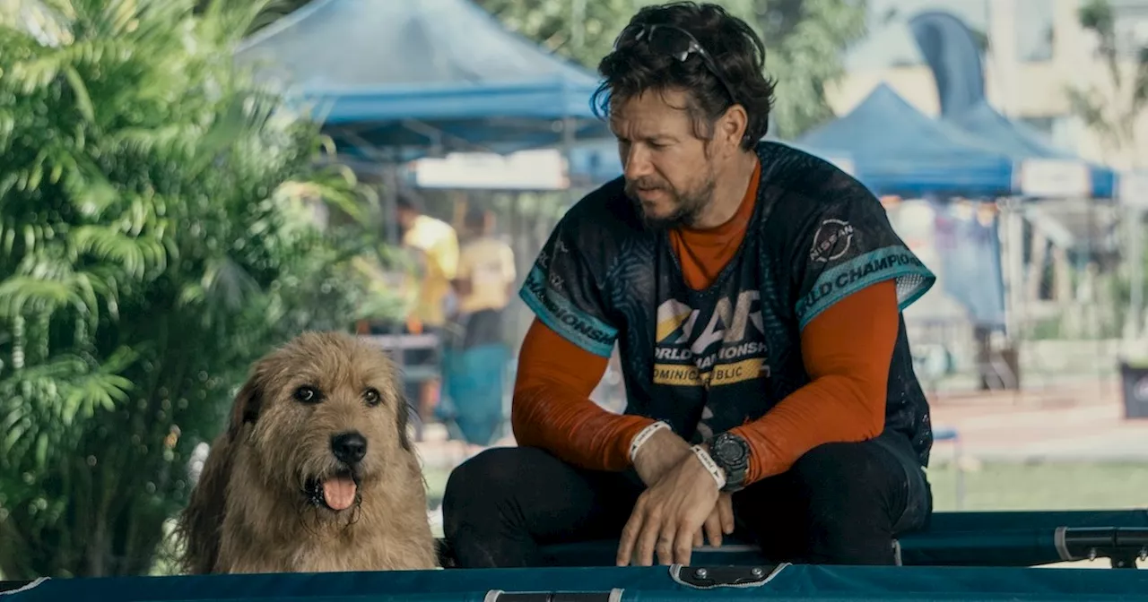 Interview: Mark Wahlberg Talks Arthur the King’s Incredible True Story