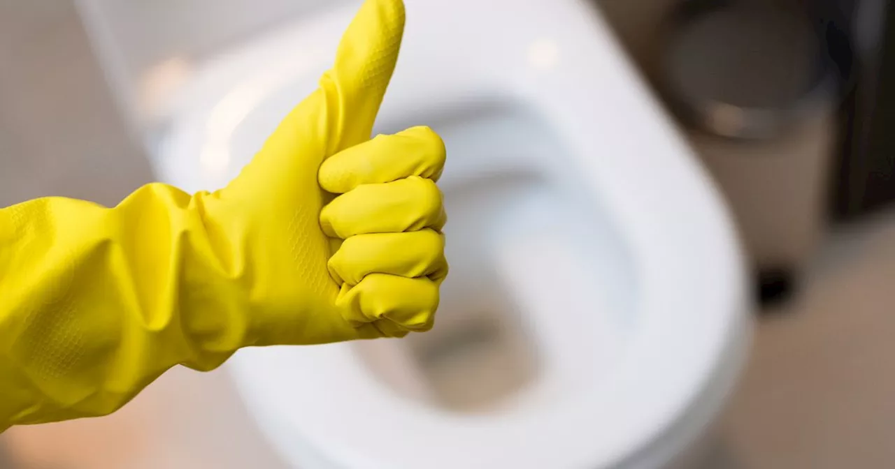 Remove yellow toilet seat stains with £1.50 product that 'works like a charm'