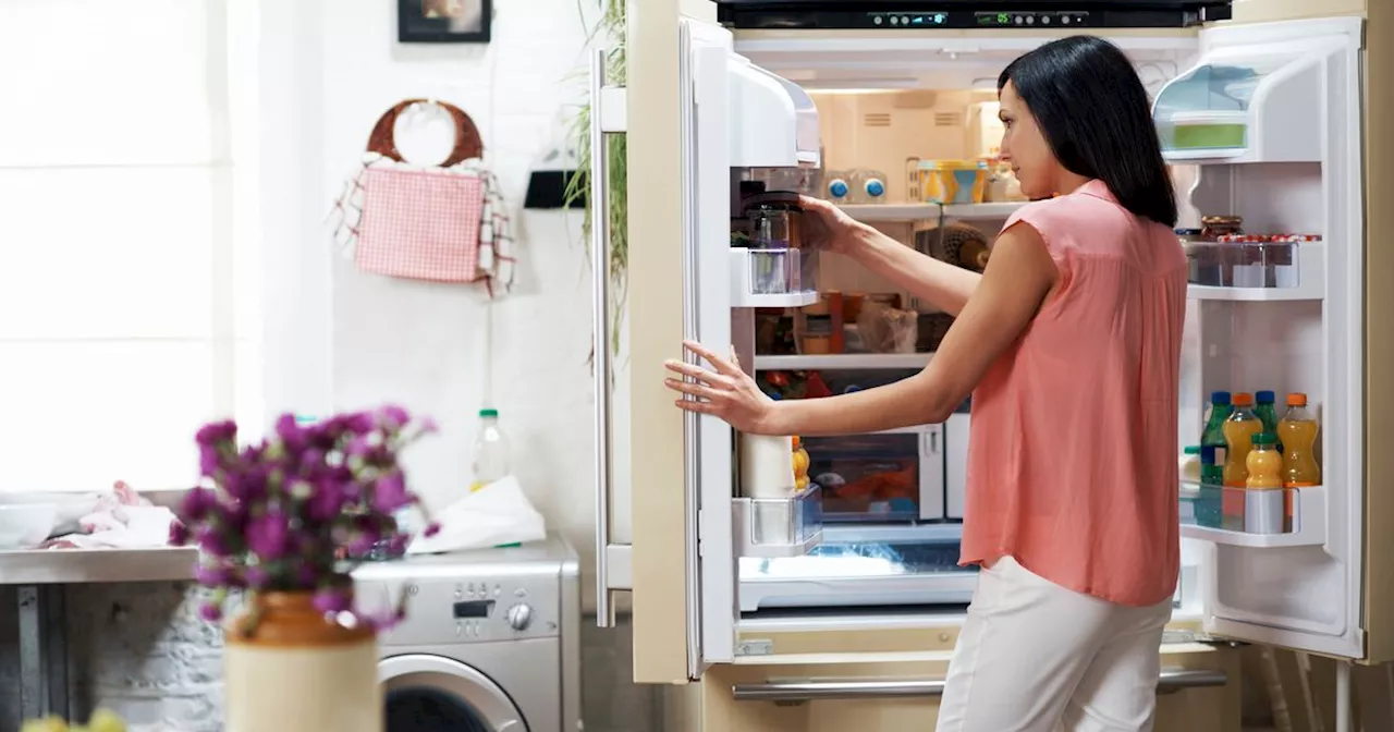 The little-known button on your fridge that can help keep food fresh for longer