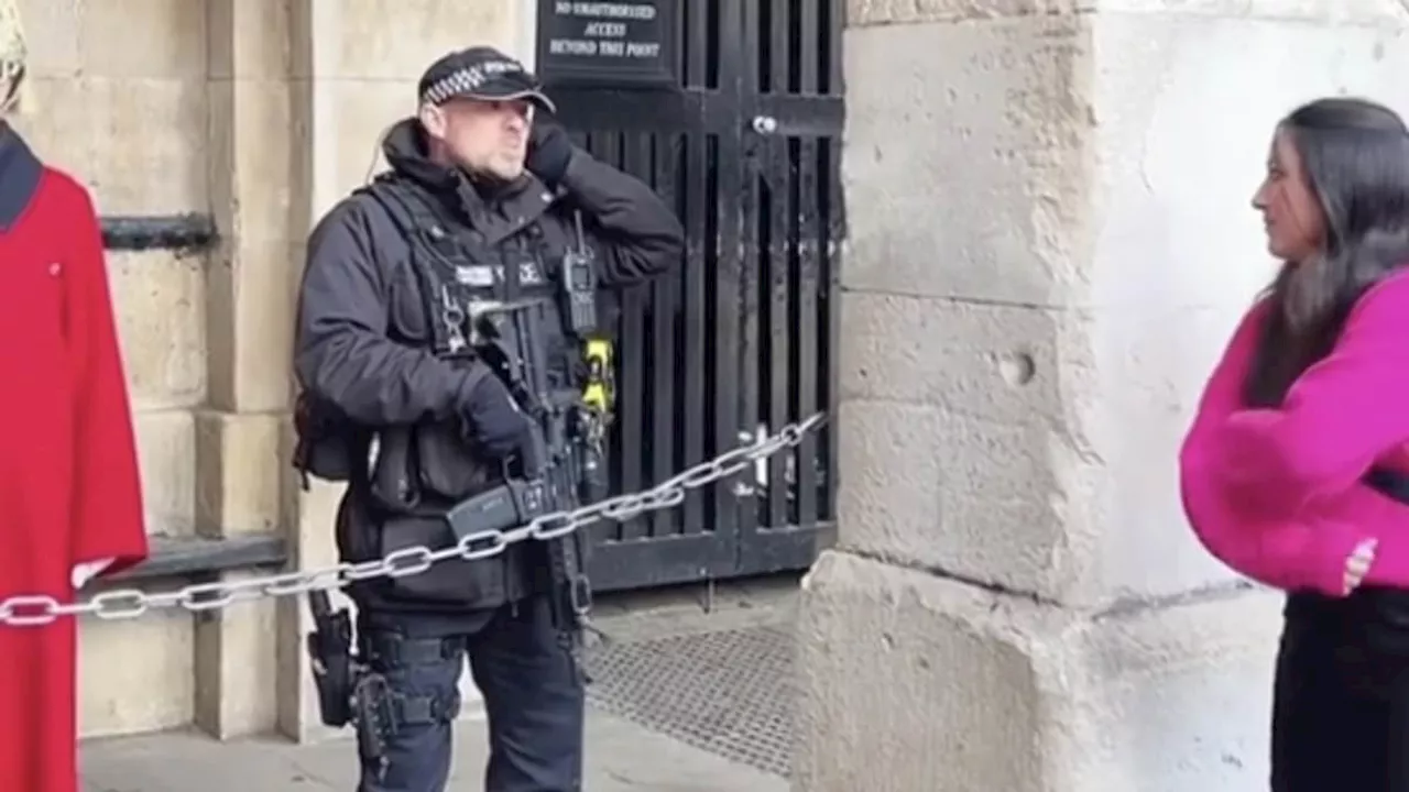 Armed police officer confronts tourists ridiculing King's Guard in London