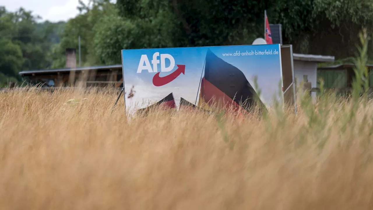 Kooperationen mit der AfD: Hier bröselt die Brandmauer am bedrohlichsten