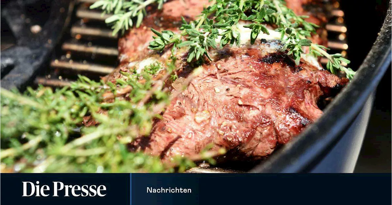 Debatte um Einstellungen der Österreicher zu 'Laborfleisch'