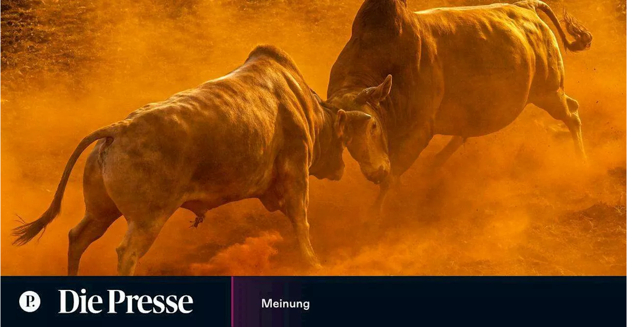 Taurus, Red Bull, Europa: Im Zeichen des Stiers