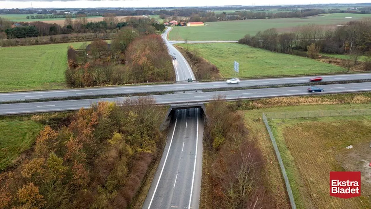 Stor undren på motorvej: Hvad foregår der?