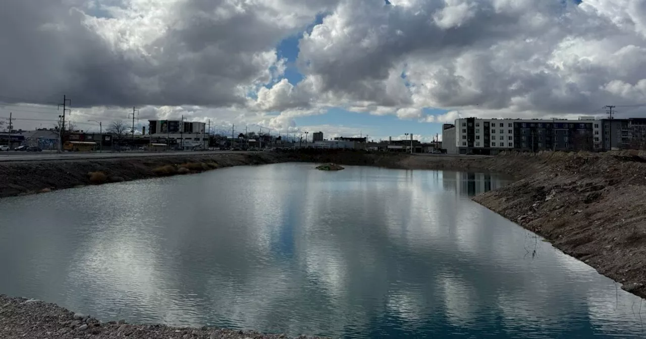 'SEARS Lake': How an empty lot turned lake has become a resting spot for birds