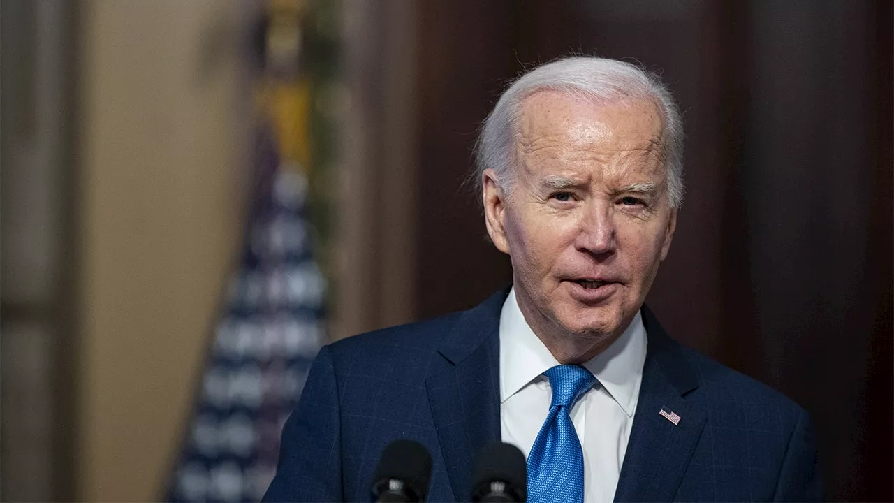 14 Democrats vote with Republicans to condemn Biden immigration policies