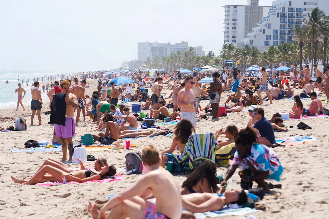 Miami Beach braces for spring break weekend with 'most bloodshed': commissioner