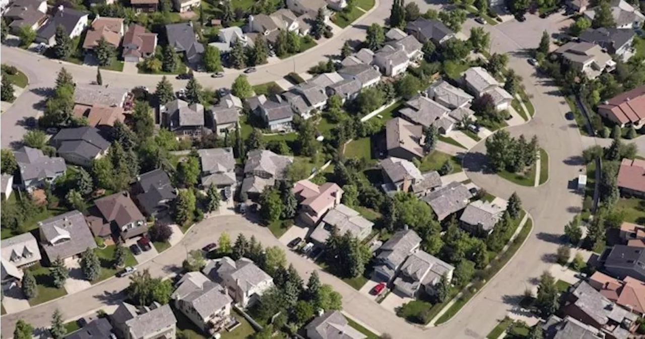 Calgary city council to debate city-wide rezoning plebiscite in special meeting