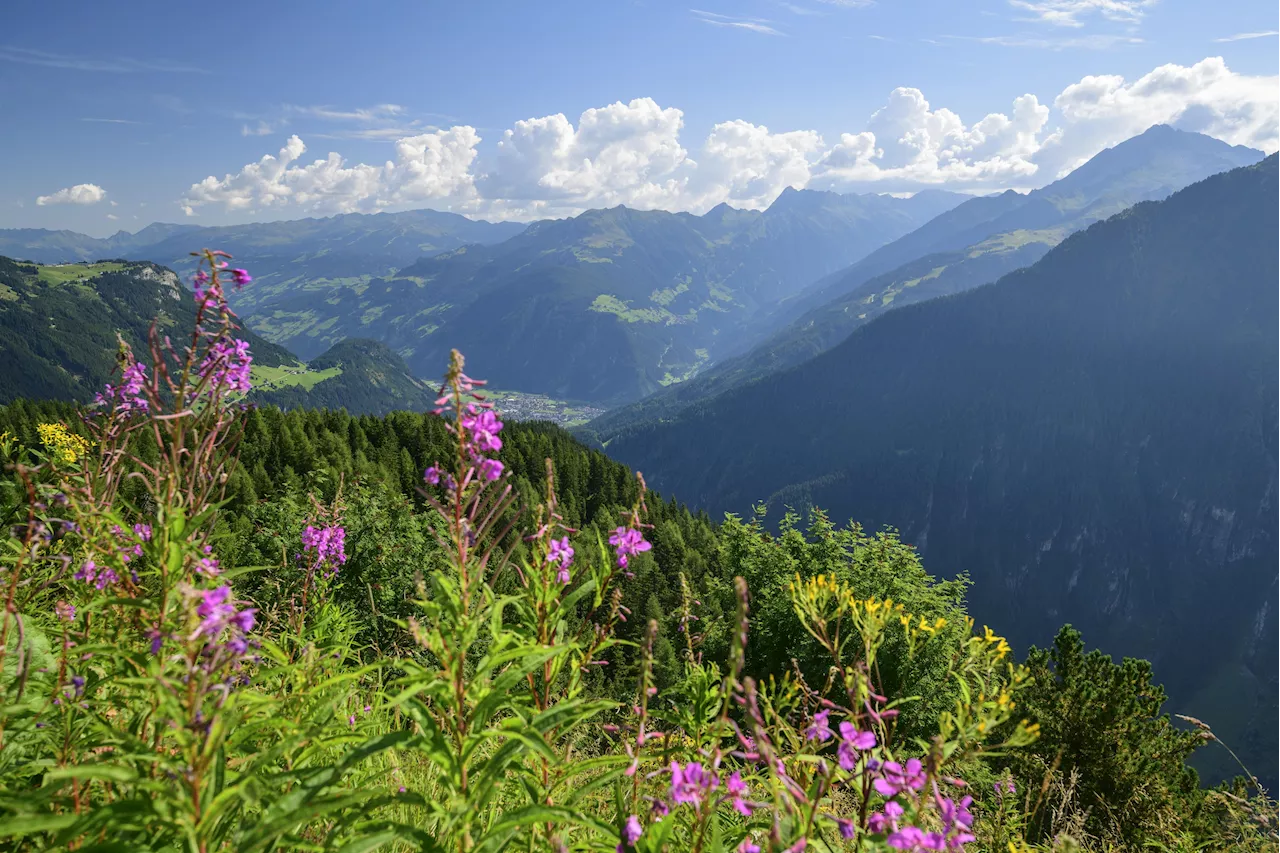 Erst Schnee, dann kommt totaler Wetter-Wechsel