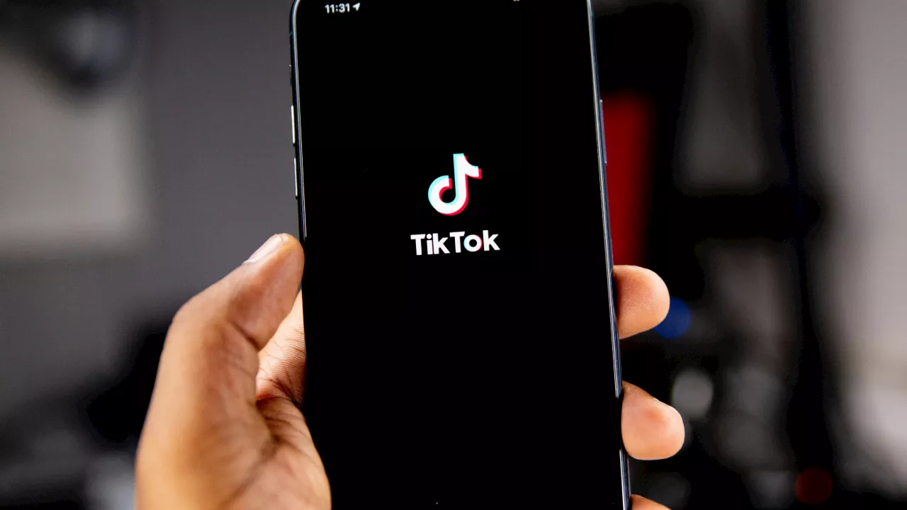 TikTok to Launch Photo-Sharing App to Compete with Instagram