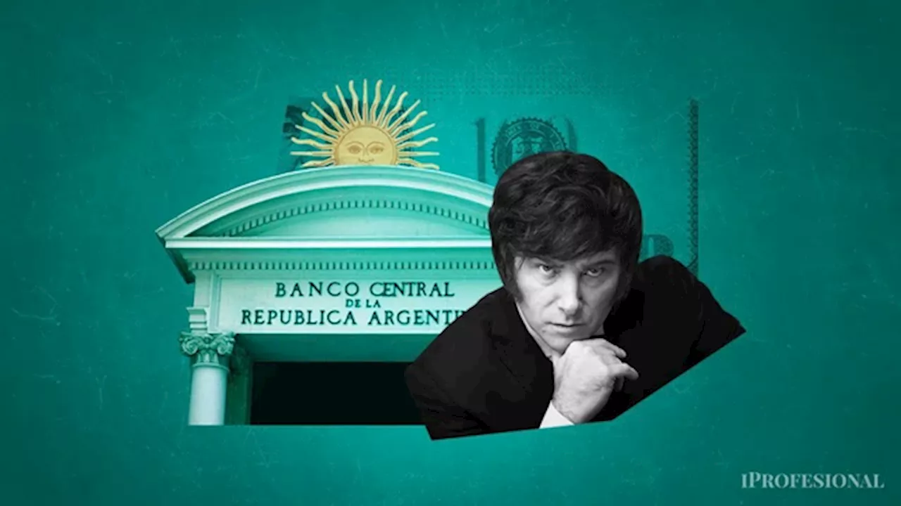 El récord en dólares que se anotó el Banco Central en la era de Javier Milei