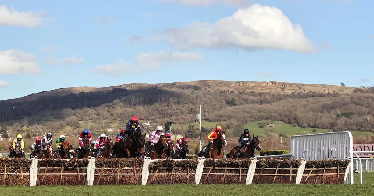 Cheltenham Festival 2024 day 1 full race card and tips - list of runners Tuesday